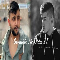 Sevdikte Ne Oldu II (feat. Özvatanlı)