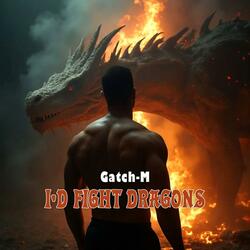 I'd Fight Dragons