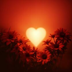 Corazon (Special Version de mi roca)