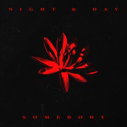 Night & Day