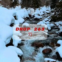 Drop (263)