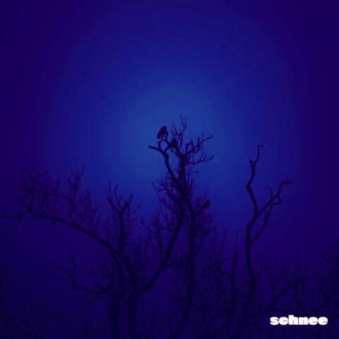 Hummingbird  (slowed + reverb)