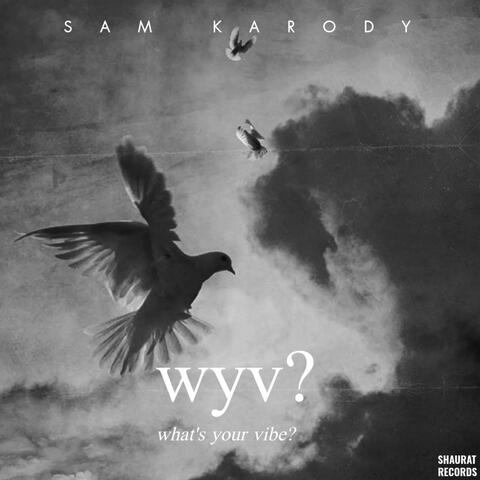 wyv? (what's your vibe?)