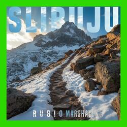 Slibuju