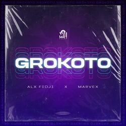 GROKOTO (feat. MARVEX)