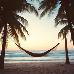 Shoreline Hammock