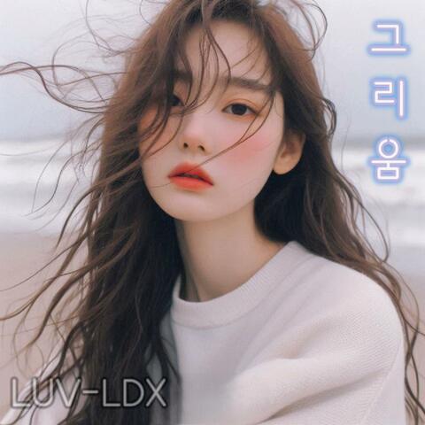 그리움