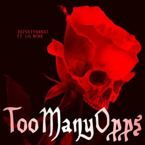Too Many Opps (feat. Lil Mink)