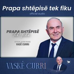 Prapa shtepise tek fiku
