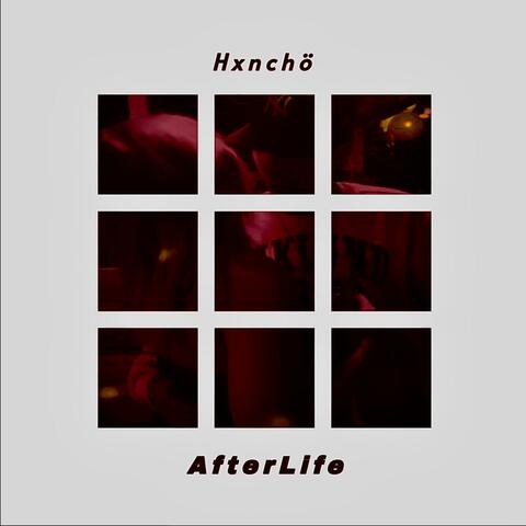Afterlife