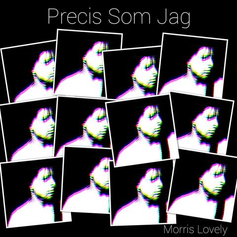 Precis Som Jag