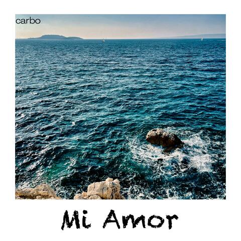 Mi Amor (Radio Edit)