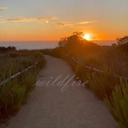 Wildfire (feat. Indra)