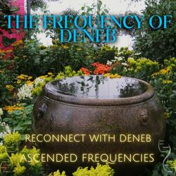 Deneb 592 Reconnection Frequency