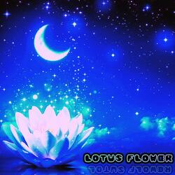 Lotus Flower (feat. v3n0m)