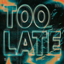 too late (to love me)