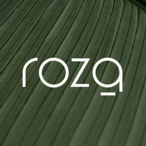 Afro Guitar x Afro Beat instrumental 2025 "ROZA"