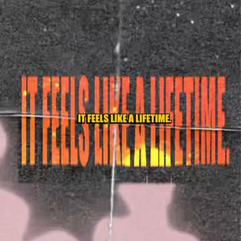 LIFETIME