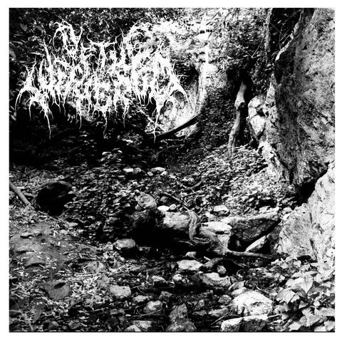 Prologue to Insanity