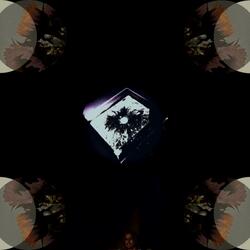 I am Not Bread (Leave Me Alone)