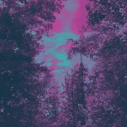 Square A$$ Pizza (feat. Frieyies)