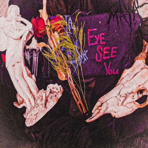Eye See You