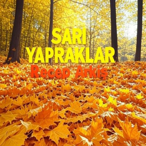SARI YAPRAKLAR