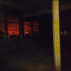 Rude Dog & The Dweeps