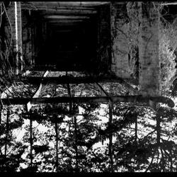 Get Your Gladrags On