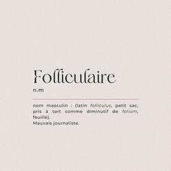 Folliculaire (Concours VKorp)