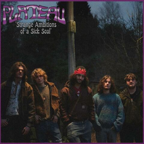 Strange Ambitions of a Sick Soul