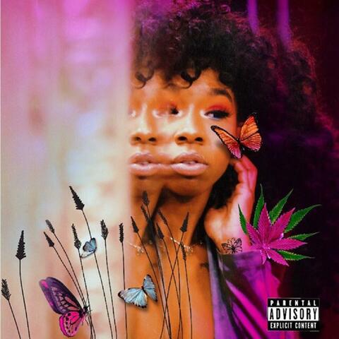 PLS (Interlude)