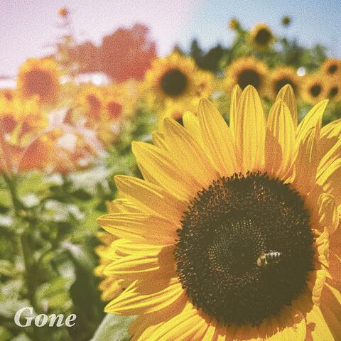 Gone
