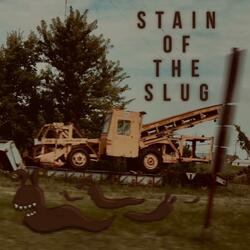COURT OF SLUG