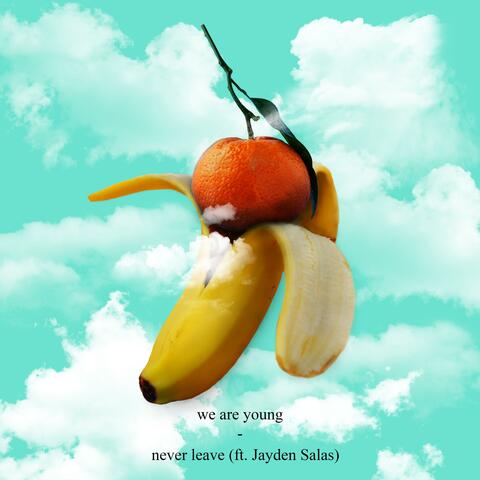 Never Leave (feat. Jayden Salas)