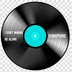 I Dont Wanna Be Alone