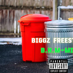BIGGZ FREESTYLE