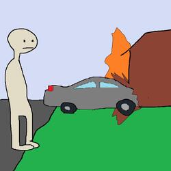 Crashed Into Your House