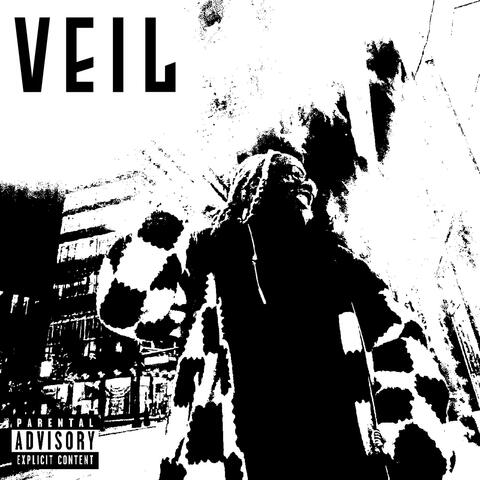 VEIL (2024)