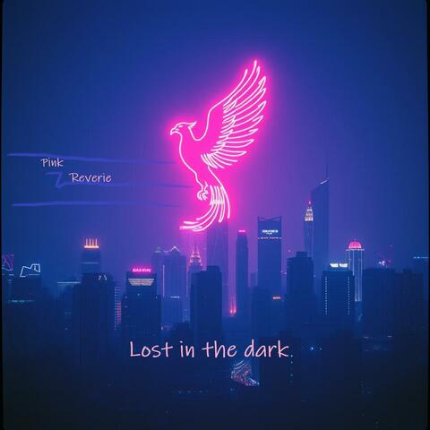 Lost in the dark