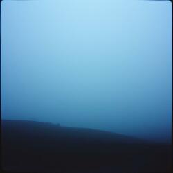 The Black Mist