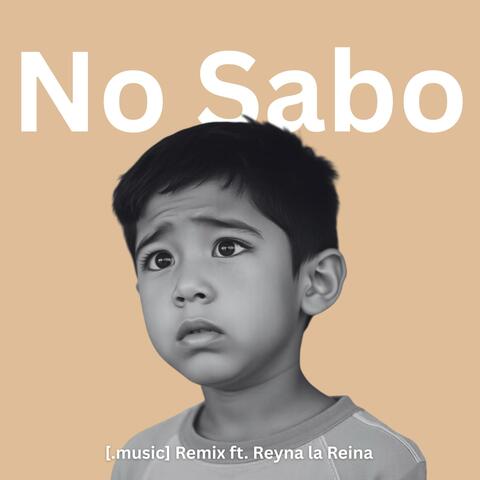 No Sabo (feat. Reyna la Reina) [[.music] Remix]