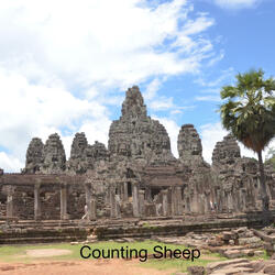 Countibg Sheep
