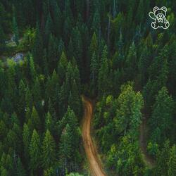 Not Alone (feat. Wilse & Wilse Inspired)