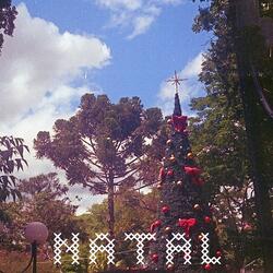 Natal