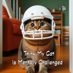 I Think My Cat Is Mentally Challenged