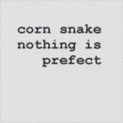 Nothing is Prefect