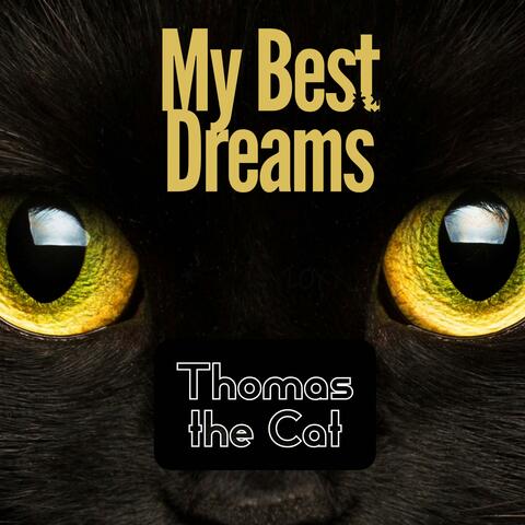 My Best Dreams