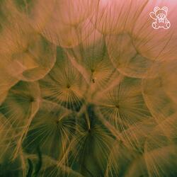 Oasis (feat. Wilse & Wilse Inspired)