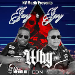 Why (C.M.C. Remix EDM / HOUSE)